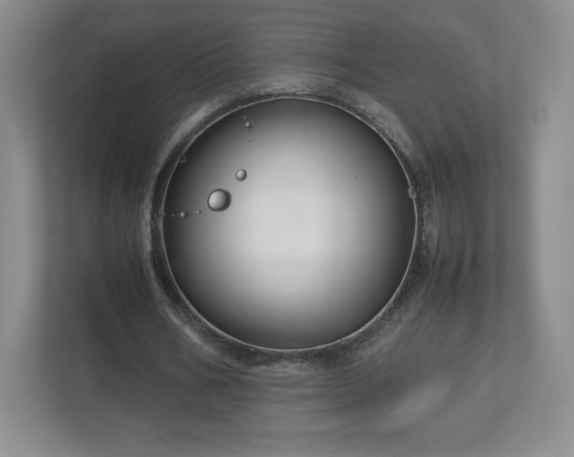 X0000113070578200909041059