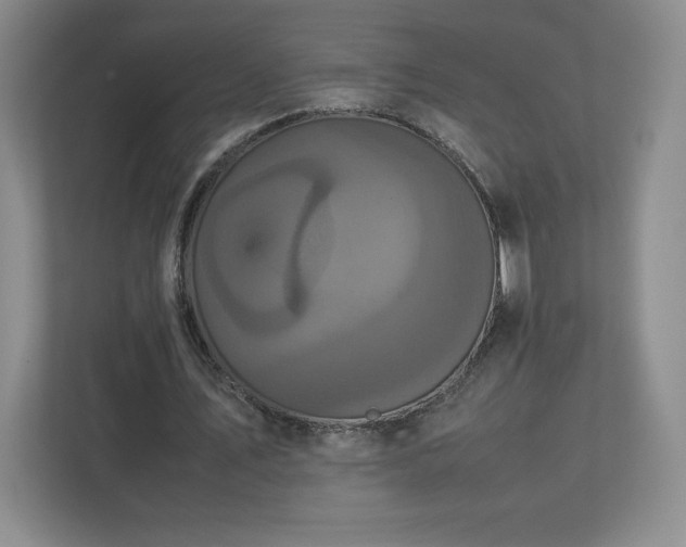 X0000113070579200909041059