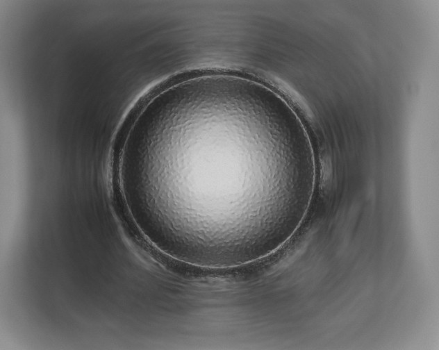 X0000113070580200909041059