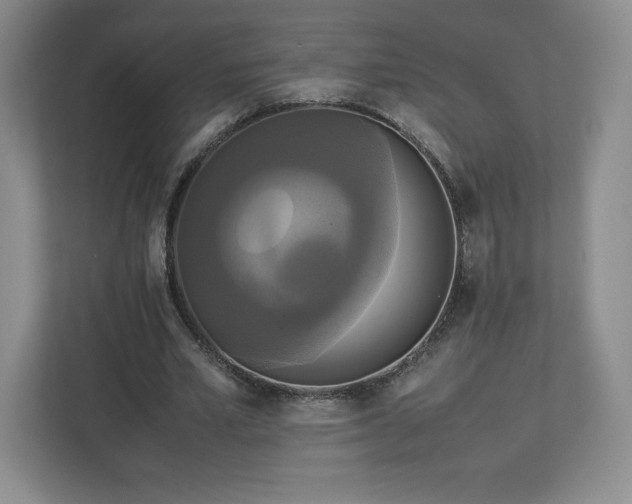 X0000113070581200909041059