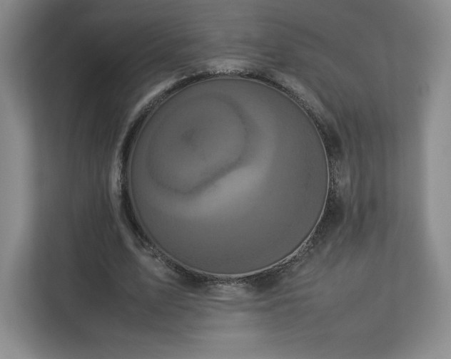 X0000113070583200909041059