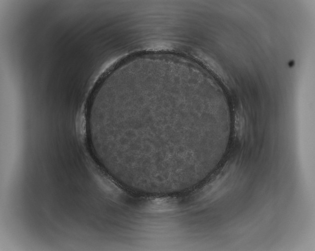 X0000113070584200909041059