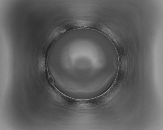 X0000113070585200909041059