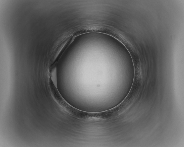 X0000113070586200909041059