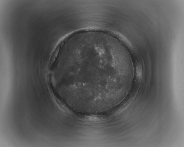 X0000113070588200909041059