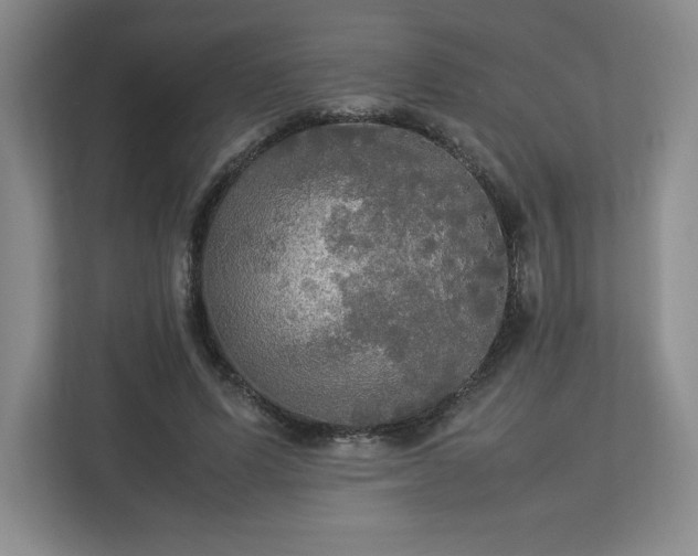 X0000113070591200909041059