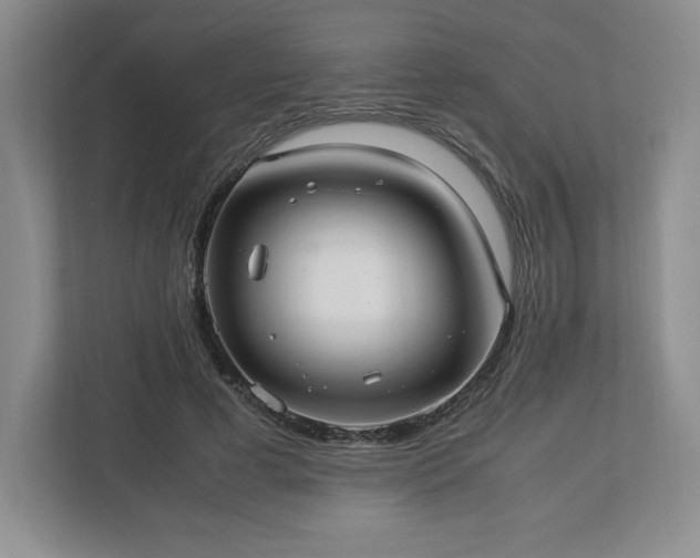 X0000113070593200909041059