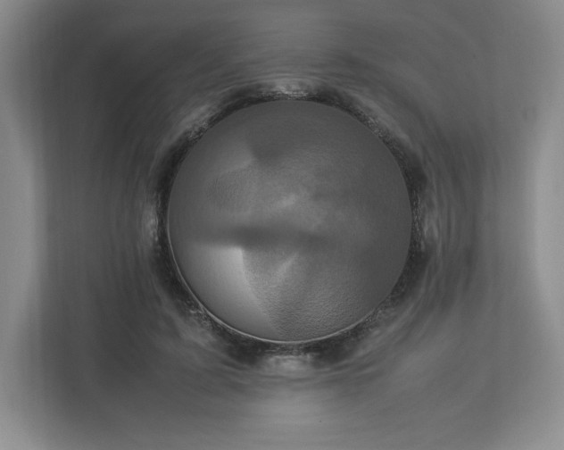 X0000113070595200909041059