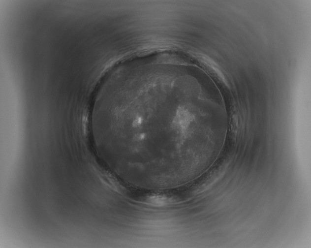 X0000113070596200909041059