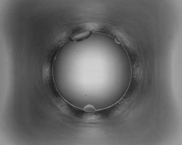 X0000113070597200909041059