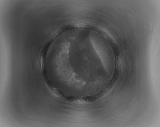 X0000113070598200909041059