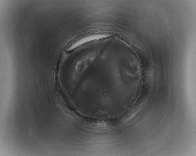 X0000113070600200909041059