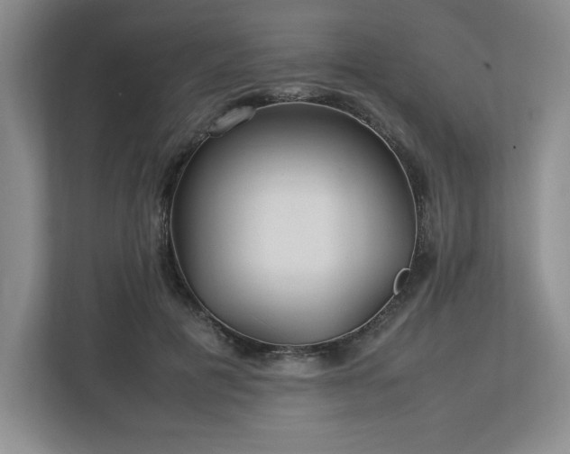 X0000113070601200909041059