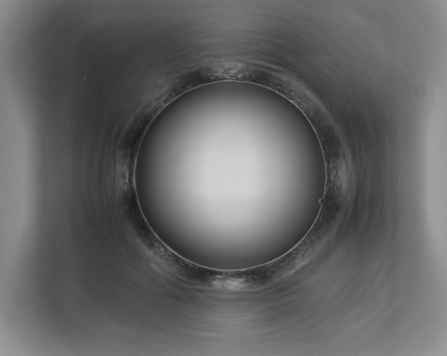 X0000113070602200909041059