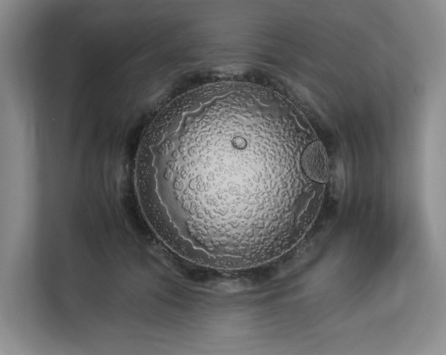 X0000113070608200909041059