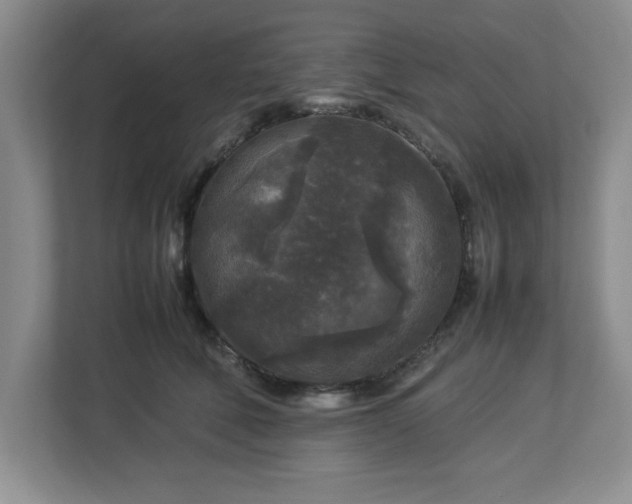 X0000113070610200909041059