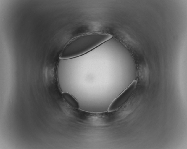 X0000113070611200909041059