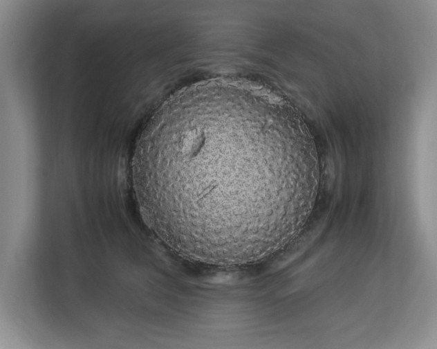 X0000113070612200909041059