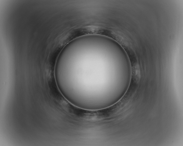 X0000113070615200909041059