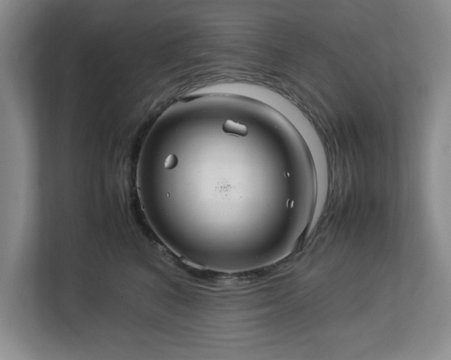 X0000113070616200909041059