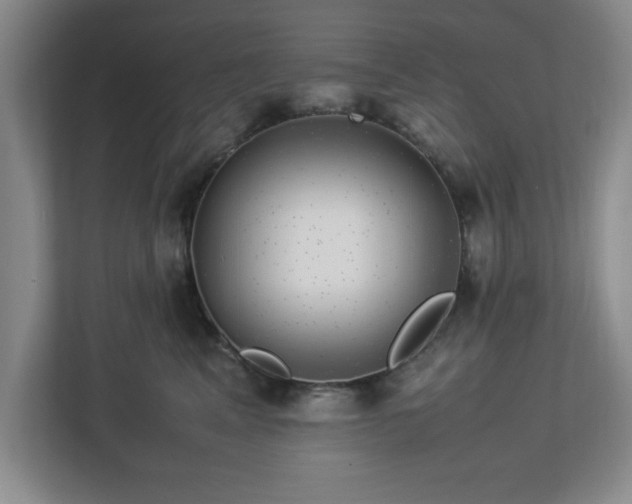 X0000113070617200909041059