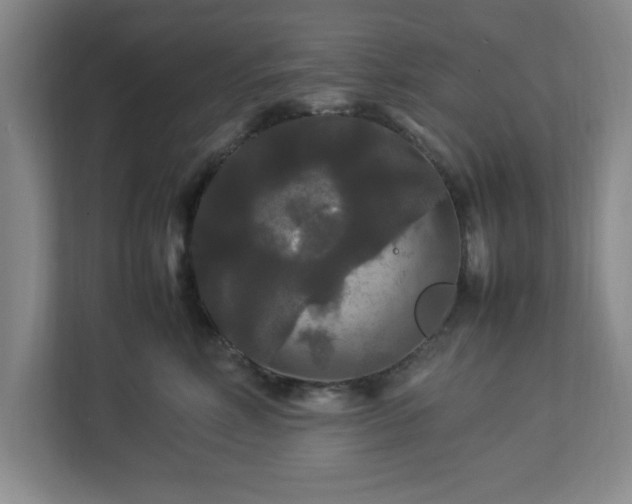 X0000113070618200909041059