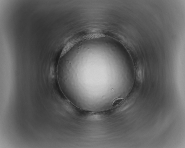 X0000113070620200909041059