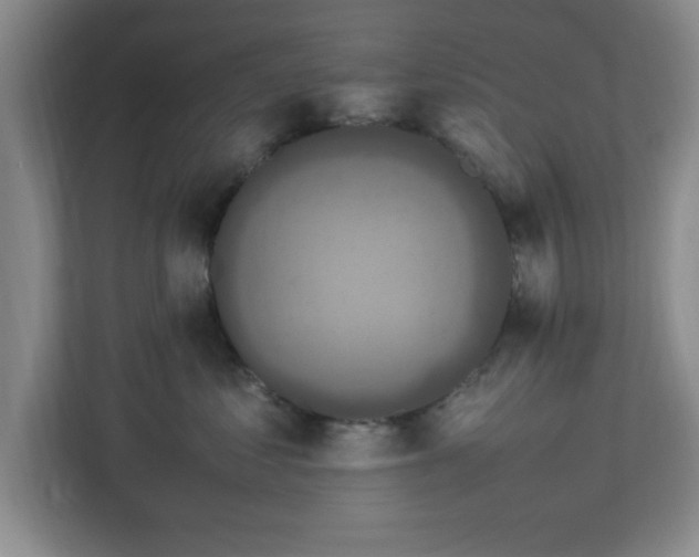 X0000113070621200909041059