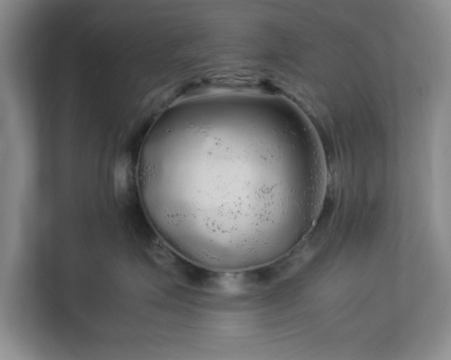 X0000113070623200909041059