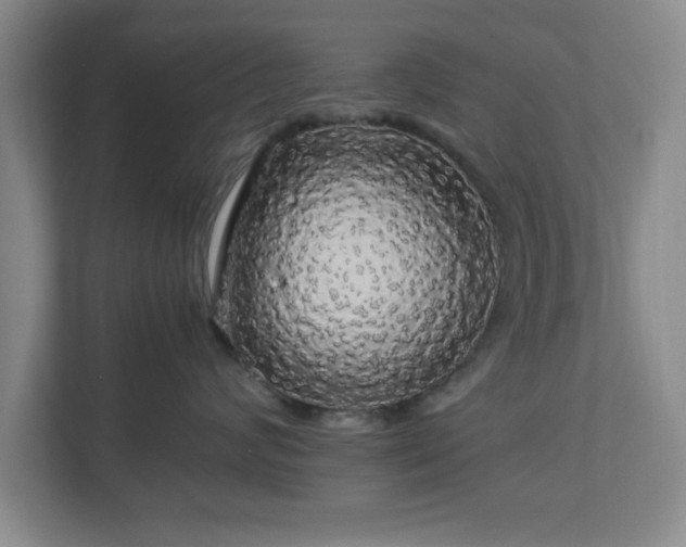 X0000113070624200909041059