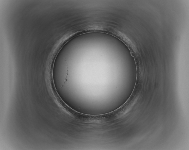 X0000113070625200909041058