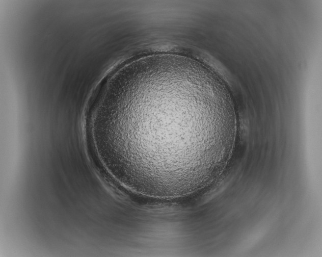 X0000113070626200909041058