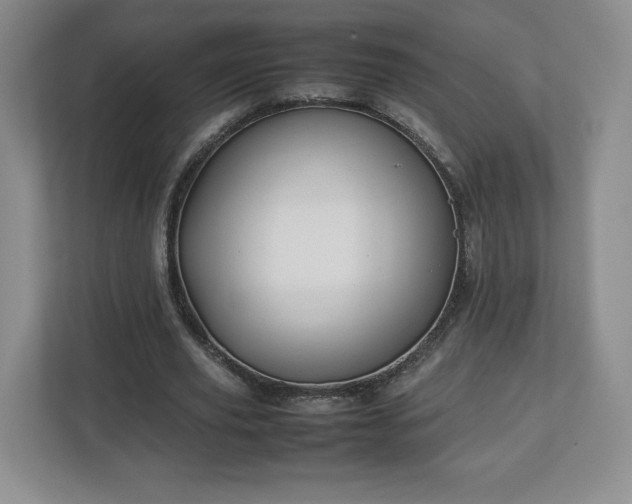 X0000113070629200909041058