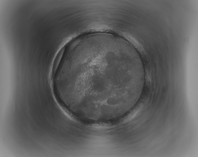 X0000113070630200909041058