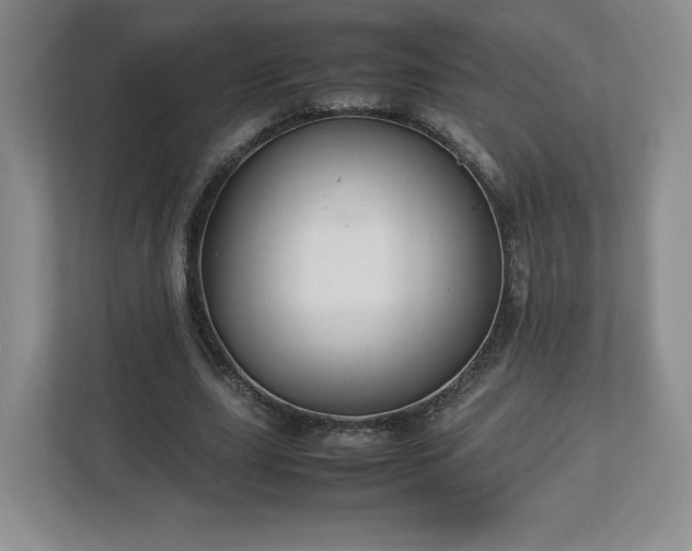 X0000113070631200909041058