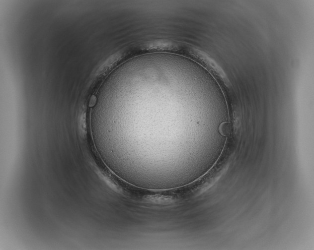 X0000113070633200909041058