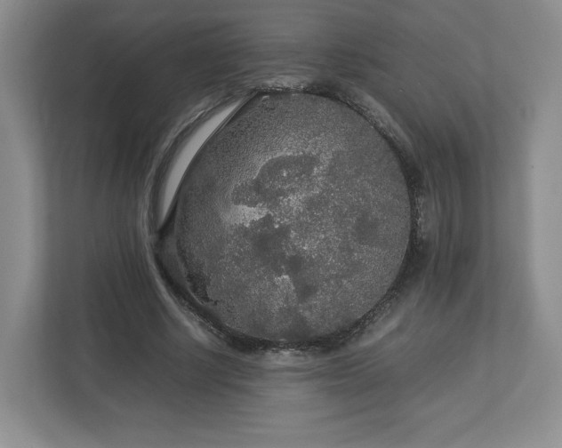 X0000113070634200909041058