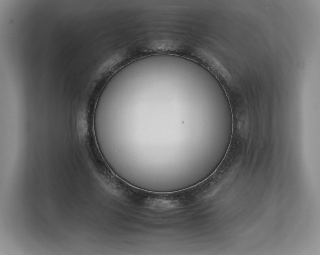 X0000113070635200909041058