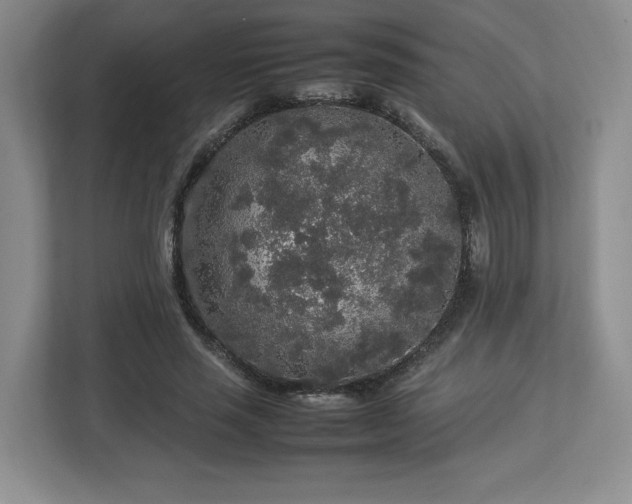 X0000113070637200909041058