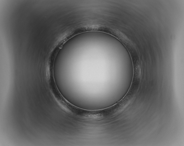 X0000113070638200909041058