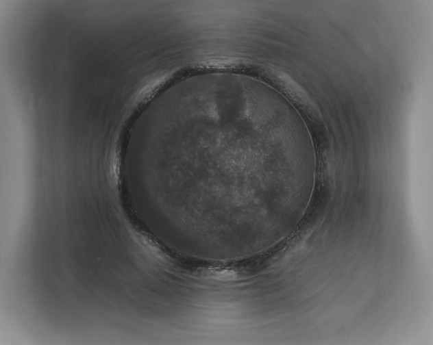 X0000113070640200909041058