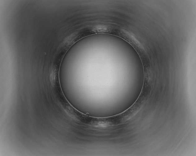 X0000113070645200909041058