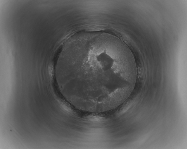 X0000113070648200909041059