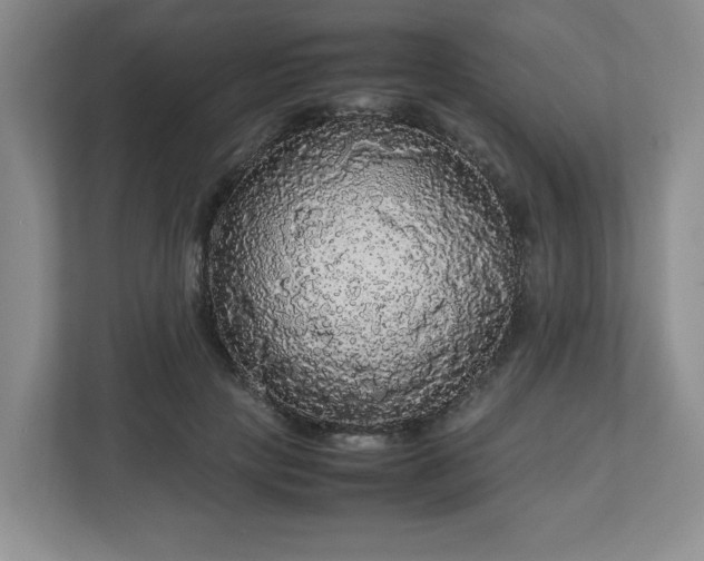 X0000113070649200909041059