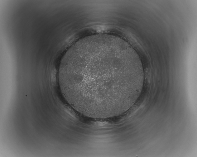 X0000113070650200909041059