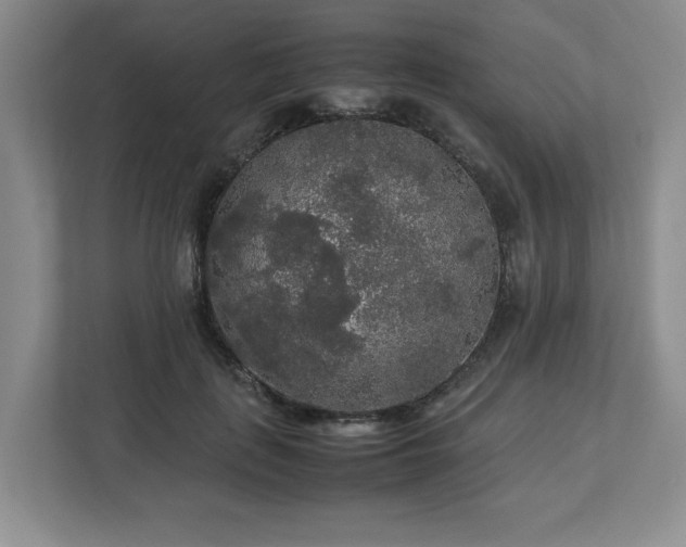 X0000113070651200909041059