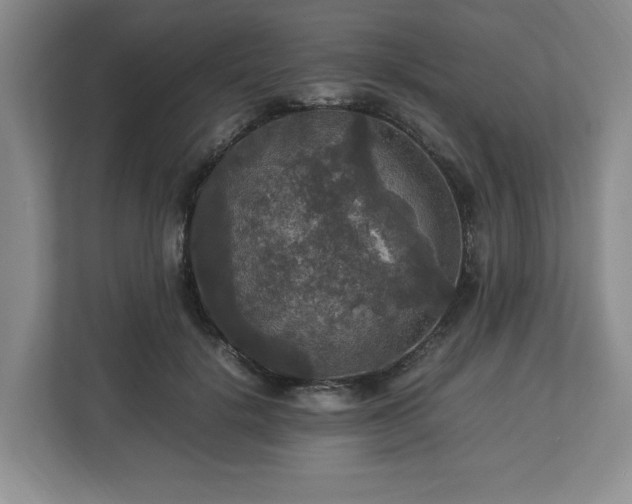 X0000113070652200909041059