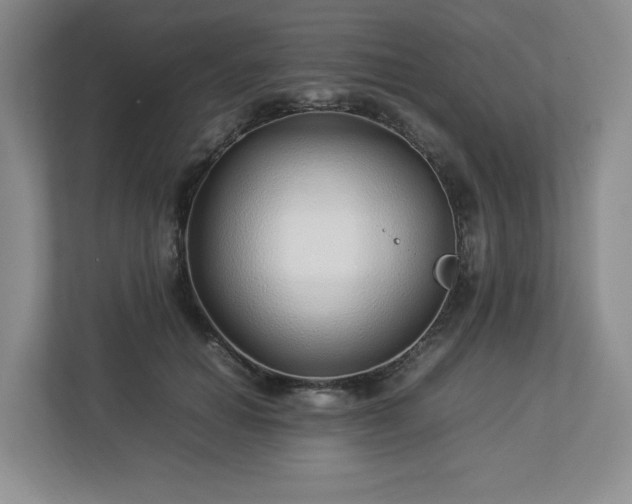 X0000113070654200909041059