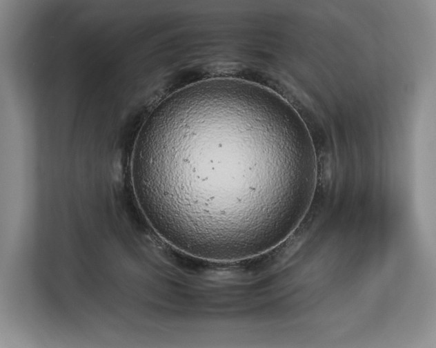 X0000113070655200909041059