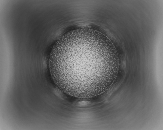 X0000113070658200909041059